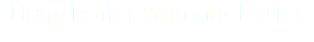 Harry Potter Patronus Poster